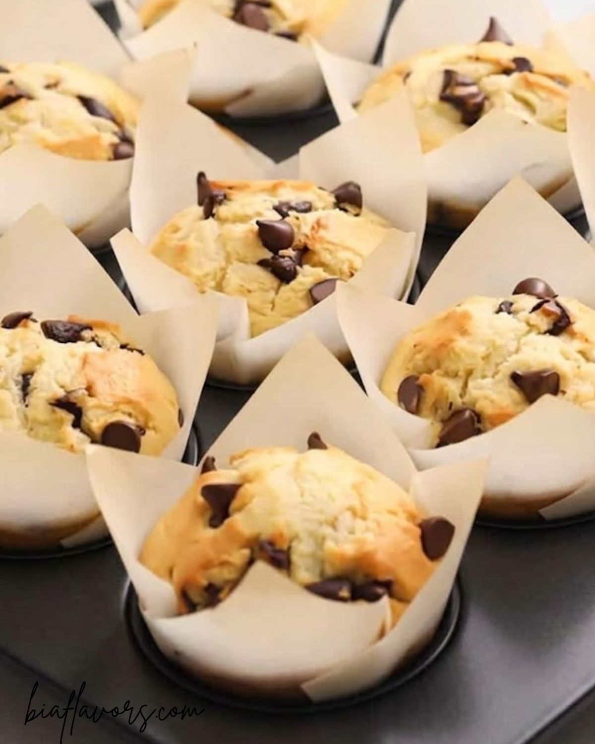 Chocolate Chip Muffins