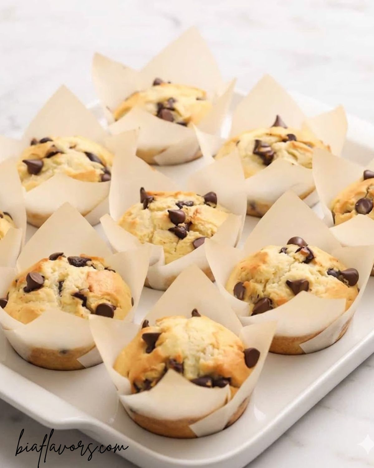 Chocolate Chip Muffins